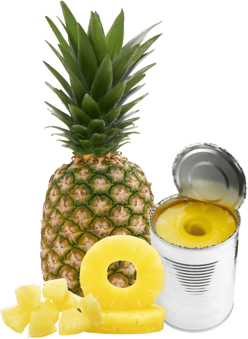 Great Giant Pineapple