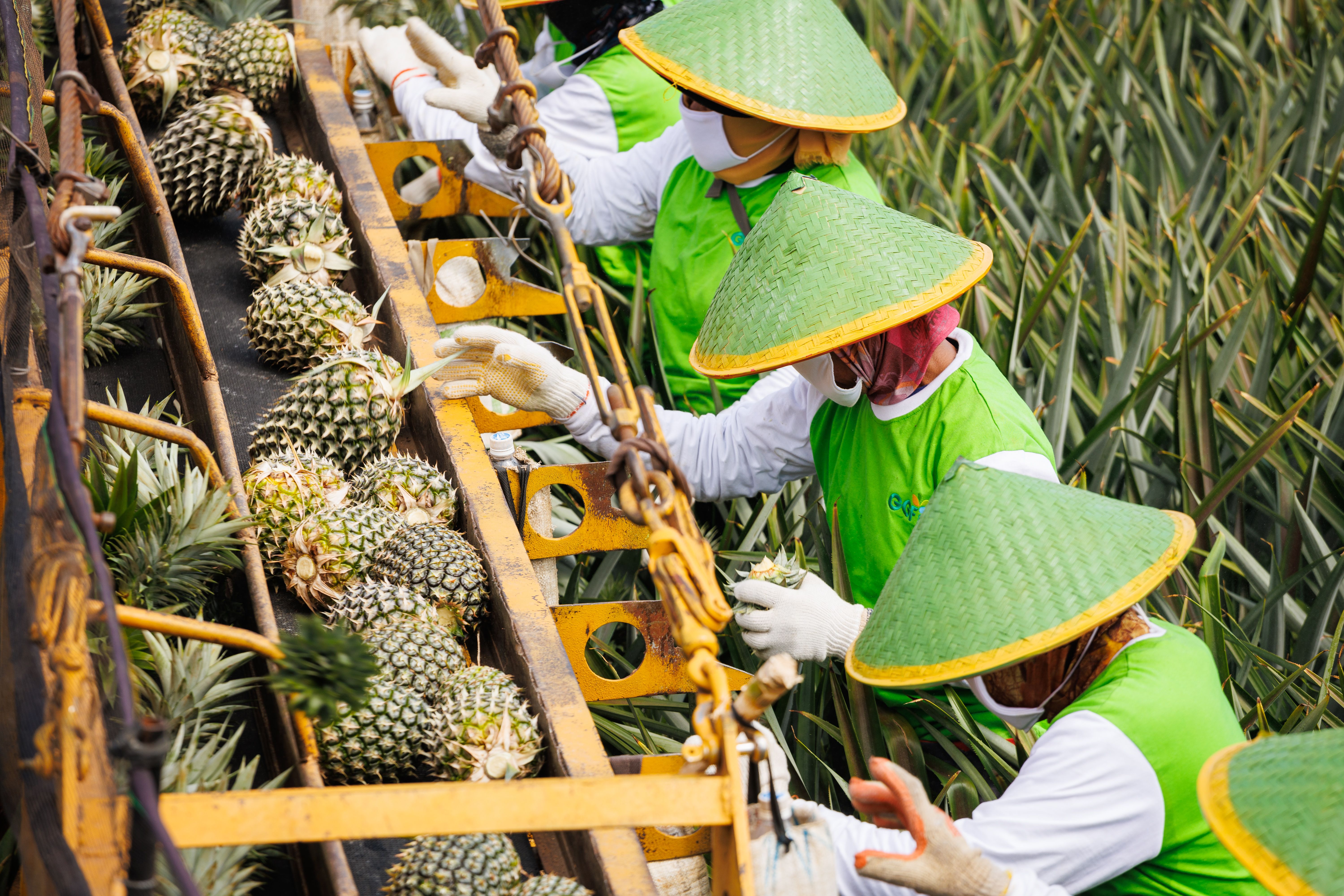 PT Great Giant Pineapple Achieves Strong ESG Rating from S&P Global