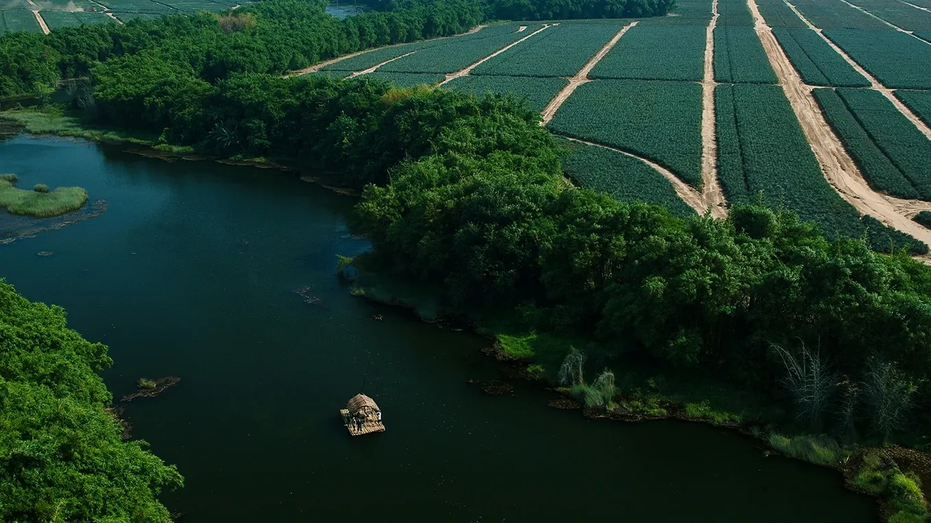Regenerative Agriculture