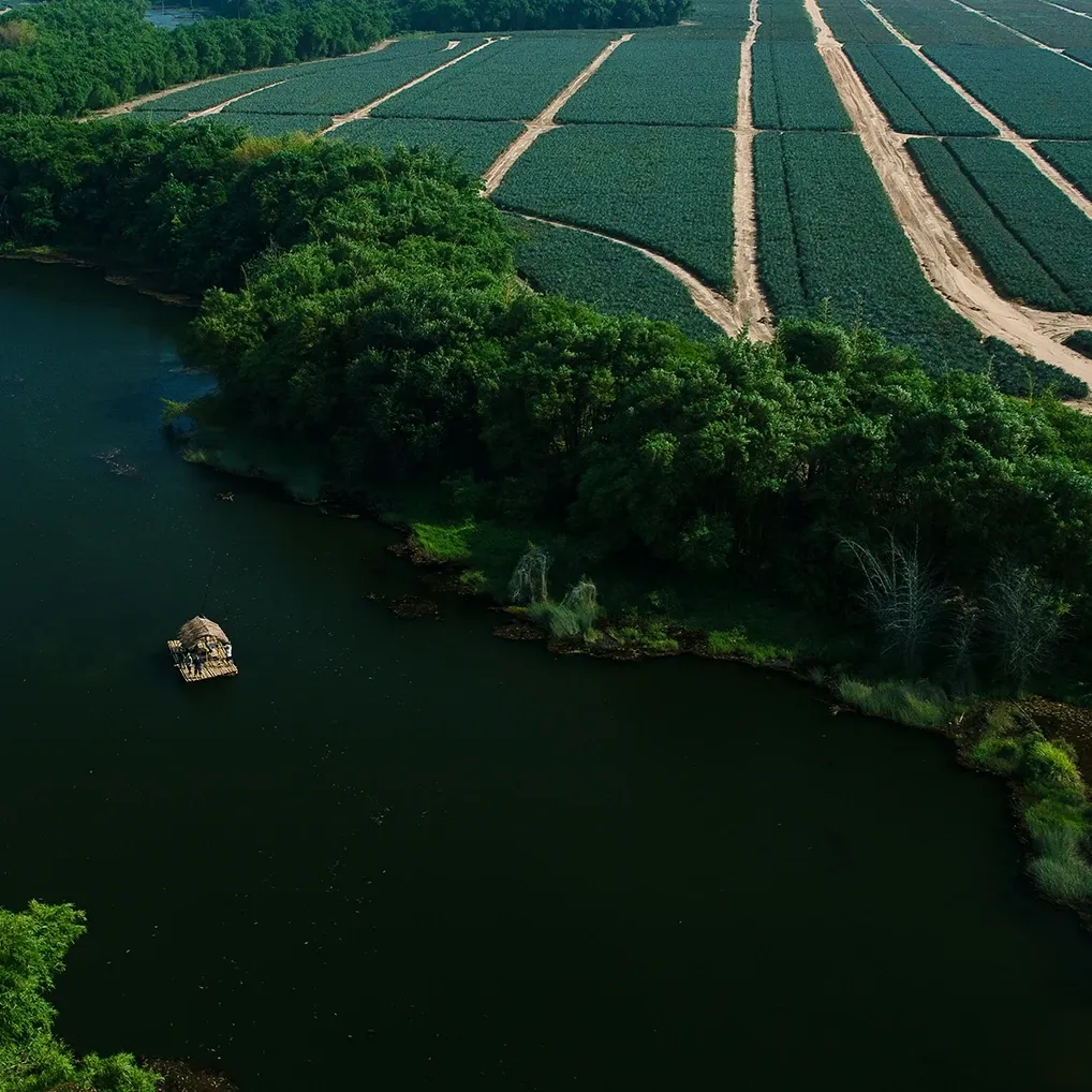 Regenerative Agriculture