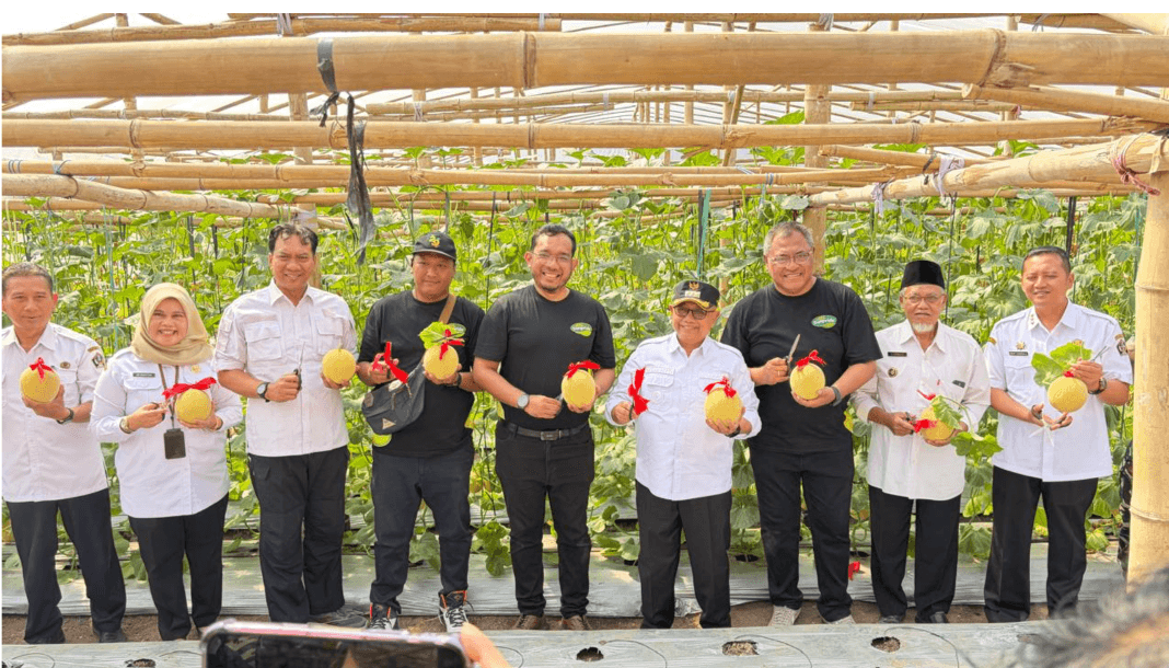 From Blitar to Singapore: How Sunpride Partner Farmers Are Expanding Market Opportunities