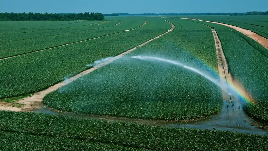 below the global average water footprint
