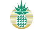 Great Giant Pineapple
